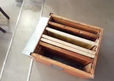 C'ereria delle Conce - Laboratorio produzione candele artigianali cera d'api - Foligno