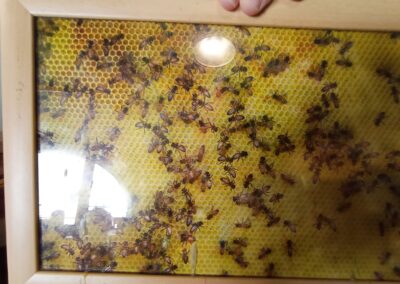 C'ereria delle Conce - Laboratorio produzione candele artigianali cera d'api - Foligno
