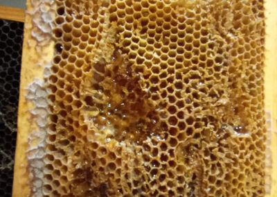 C'ereria delle Conce - Laboratorio produzione candele artigianali cera d'api - Foligno