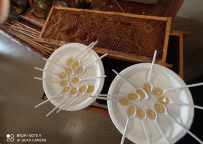 C'ereria delle Conce - Laboratorio produzione candele artigianali cera d'api - Foligno