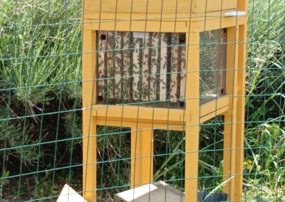 C'ereria delle Conce - Laboratorio produzione candele artigianali cera d'api - Foligno